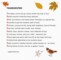 Acrostic Poems For Autumn
