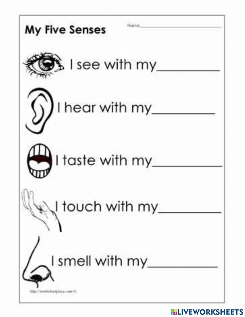 5 Senses Worksheet Free Sample, Example & Format Templates