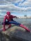 Real Amazing Spider Man Costume