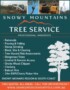 Tree Service Flyers