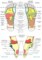Foot Reflexology Charts: Unlocking the Benefits of Reflexology