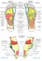 Foot Reflexology Charts: Unlocking the Benefits of Reflexology